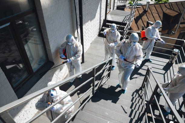 Best Attic Mold Removal  in Denair, CA
