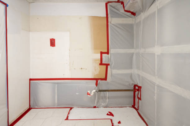 Best Forensic Mold Investigation  in Denair, CA
