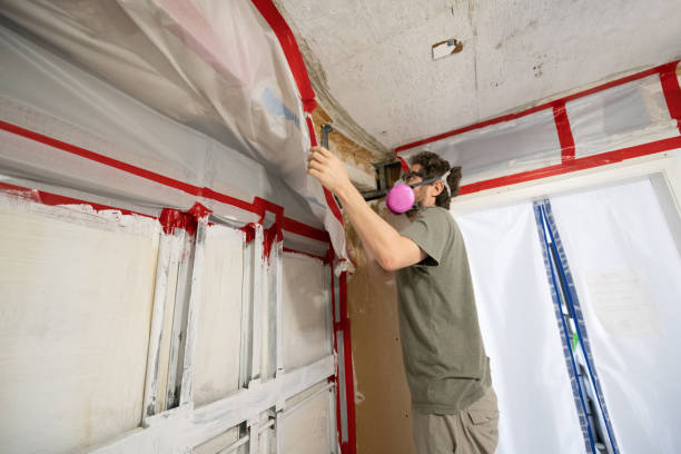 Best Mold Odor Removal Services  in Denair, CA