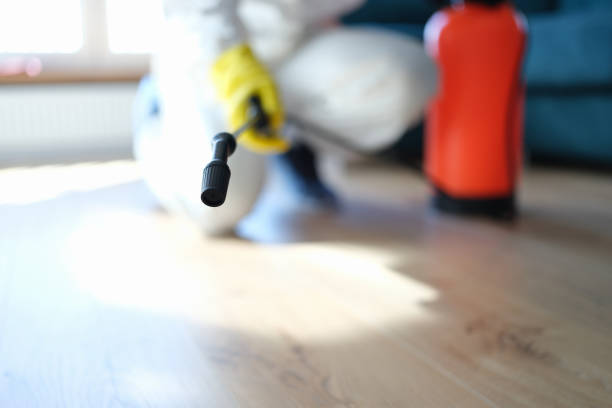  Denair, CA Mold Removal Pros